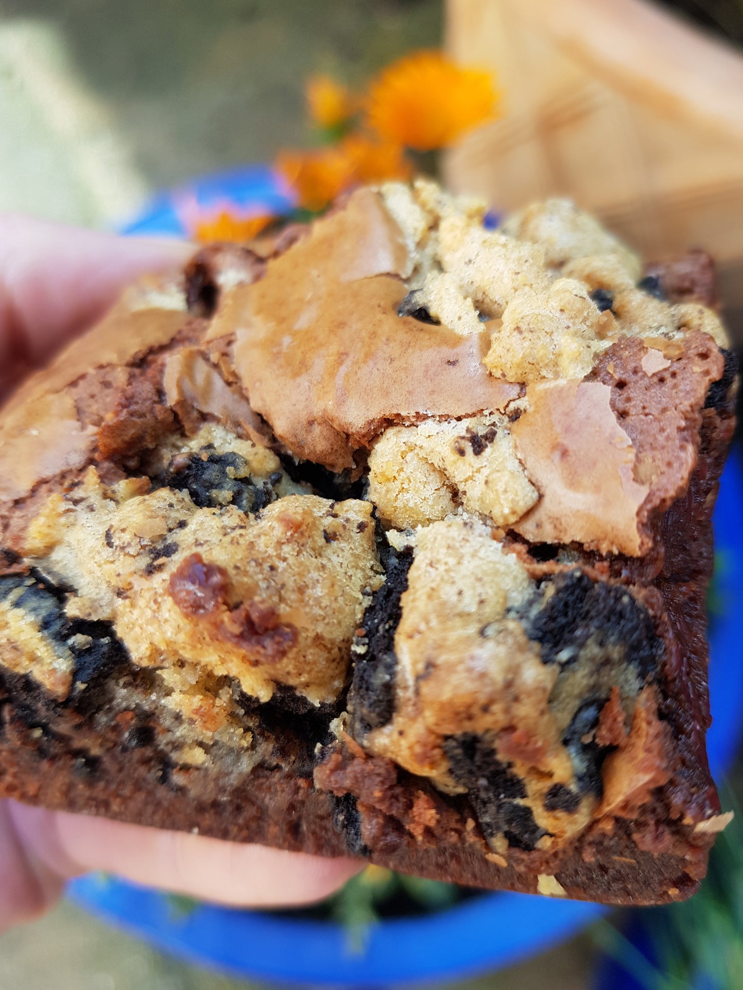 Cookie Dough Brownie