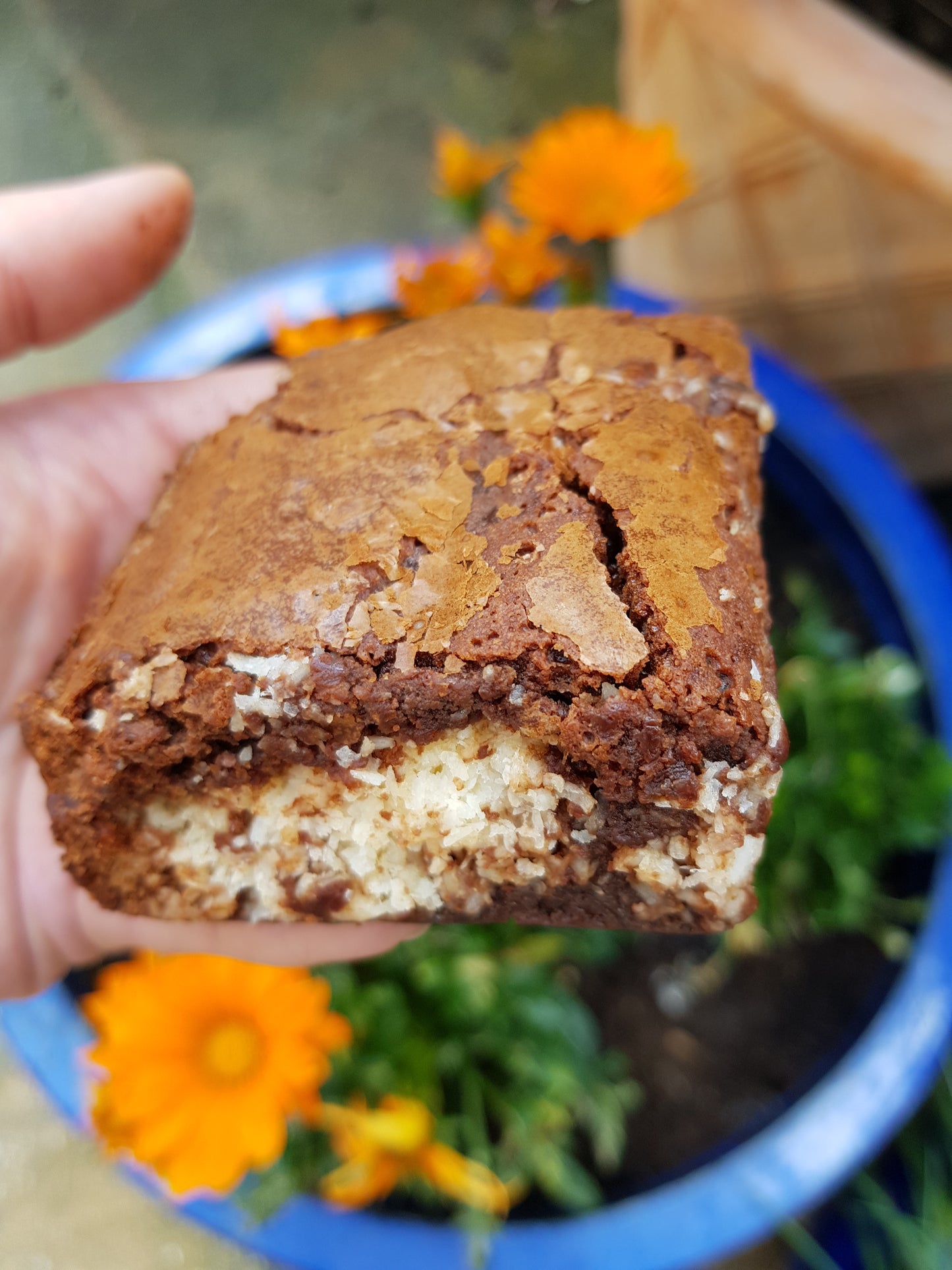 Coconut Brownies