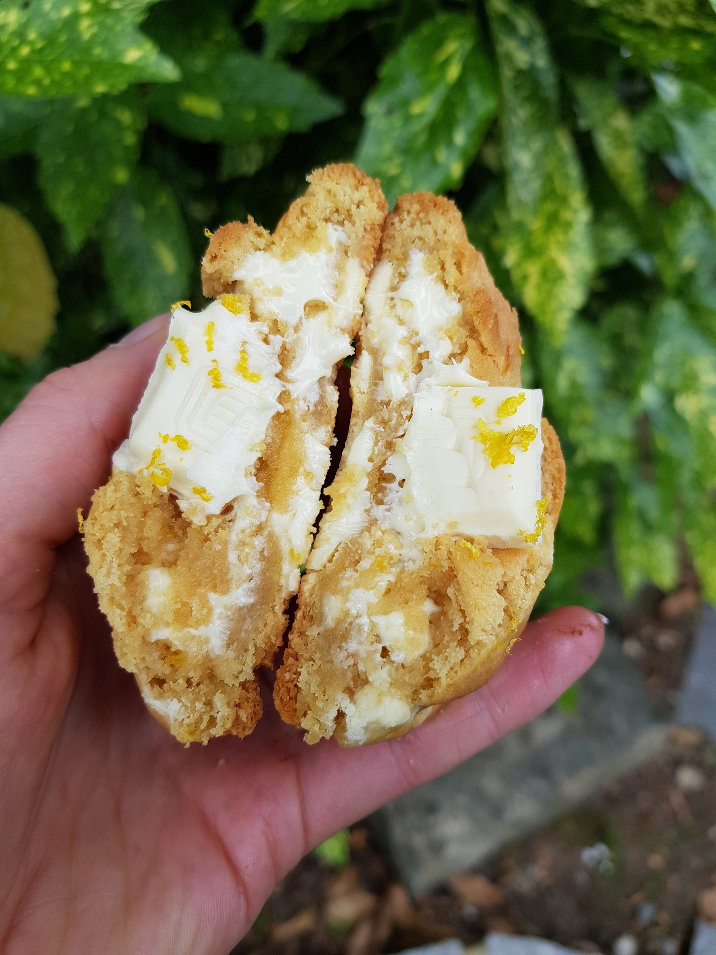 Indulgent Collection