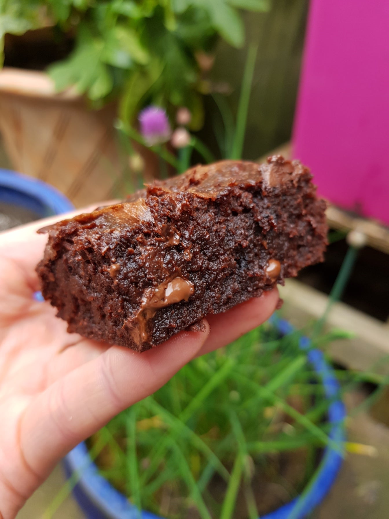 Plant Based Brownies